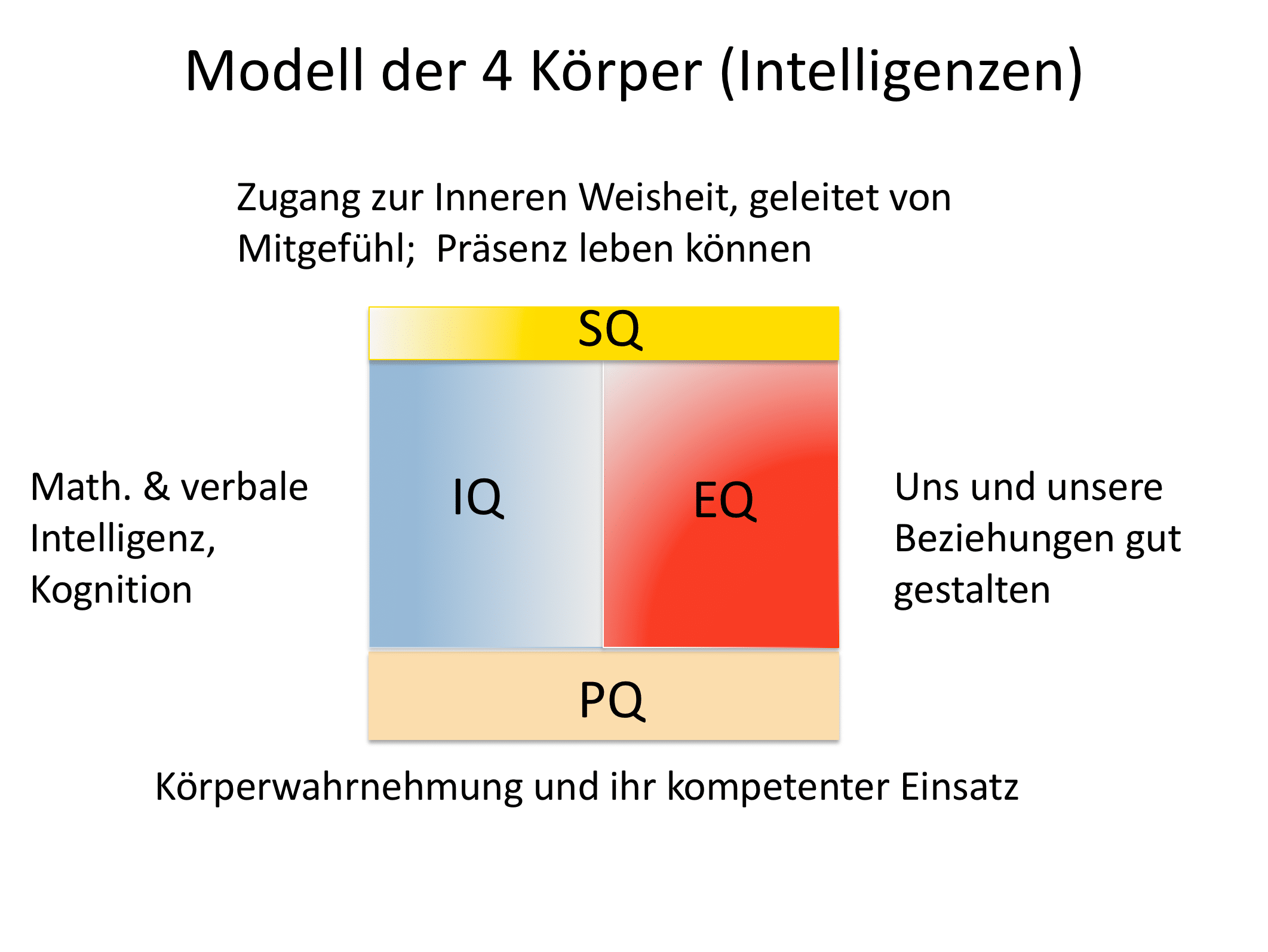 Modell der 4 Intelligenzen einer Persönlichkeit